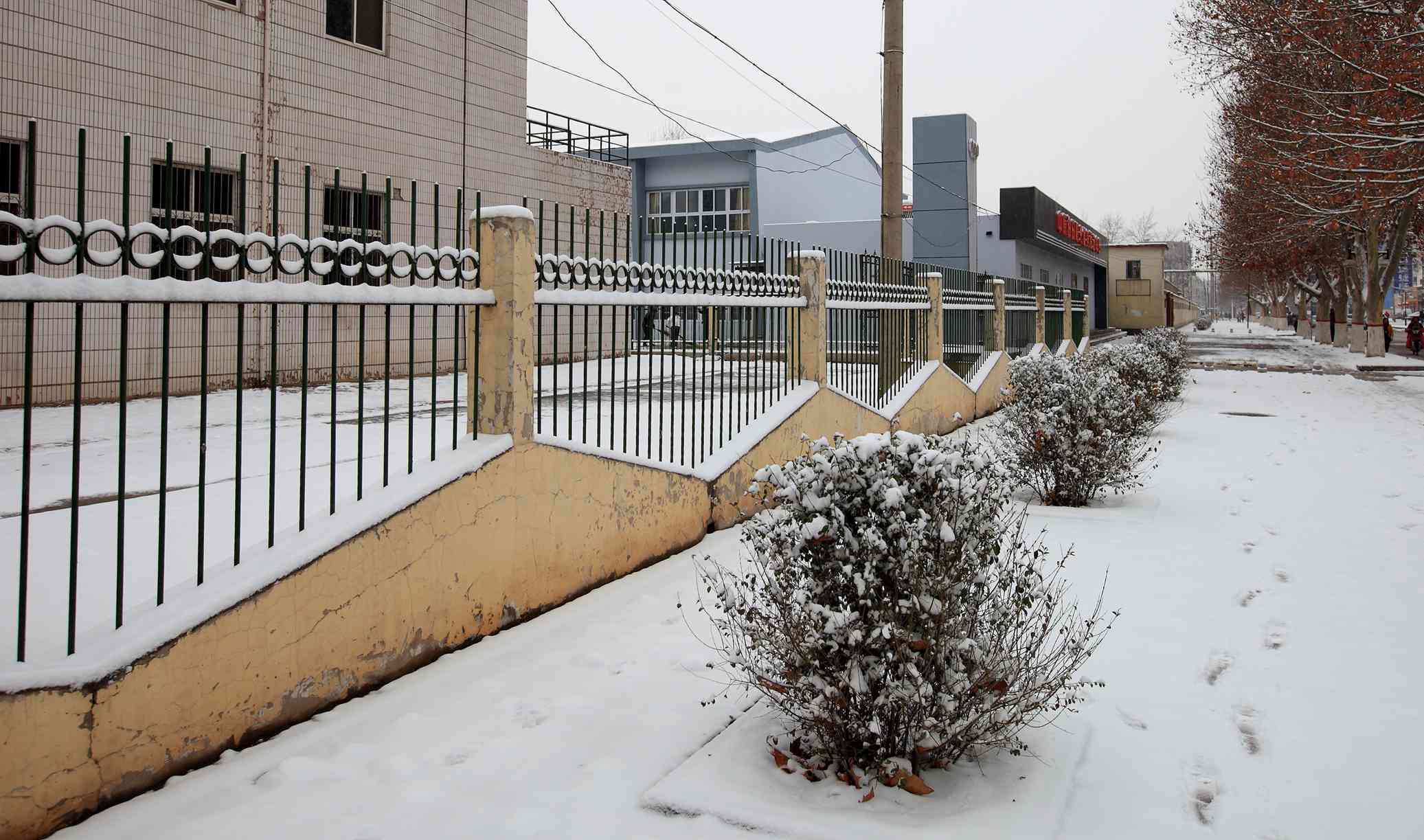2014龙城第一雪