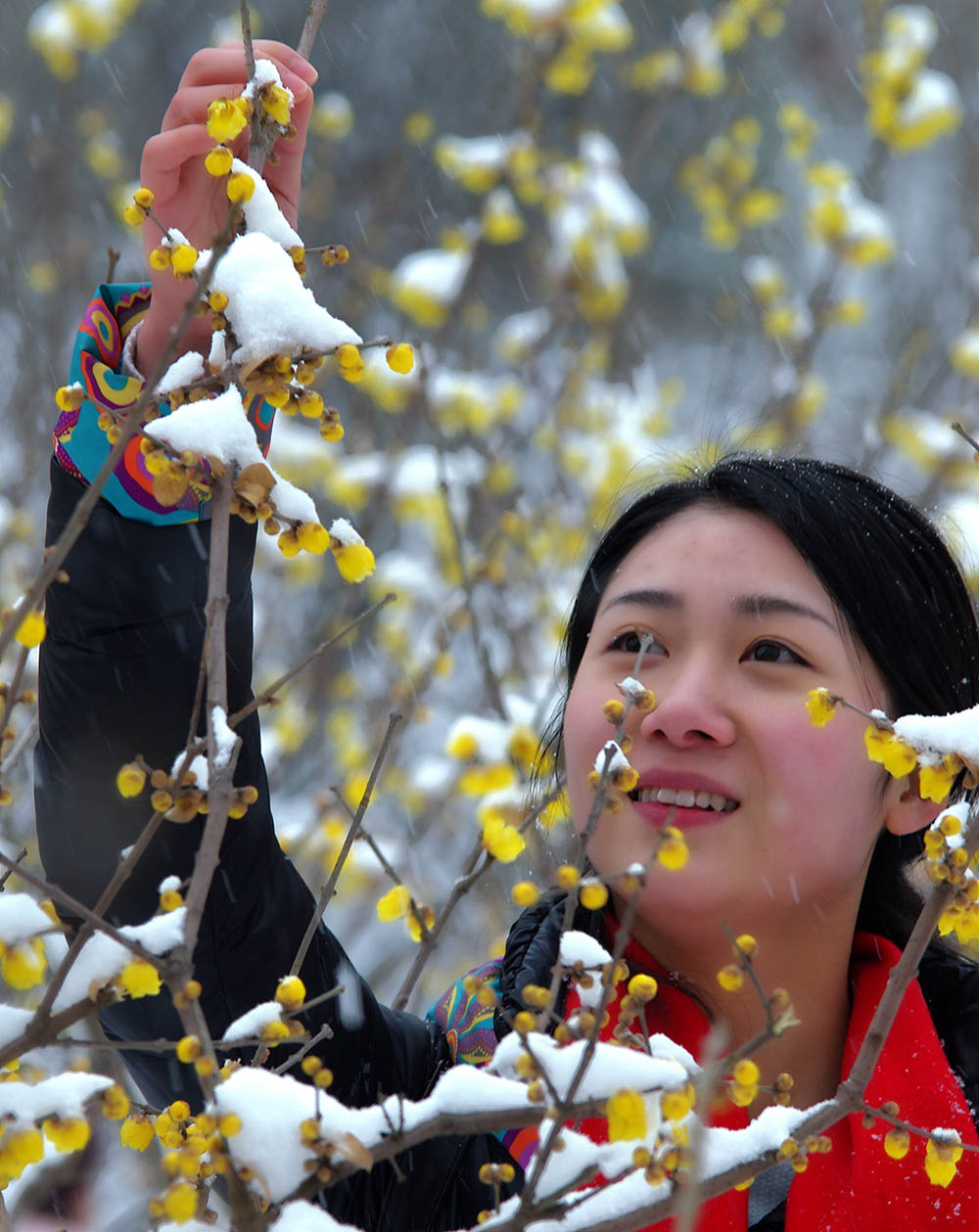 春雪————新蕾————人像