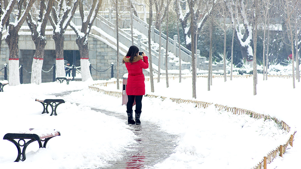 春雪————新蕾————随拍