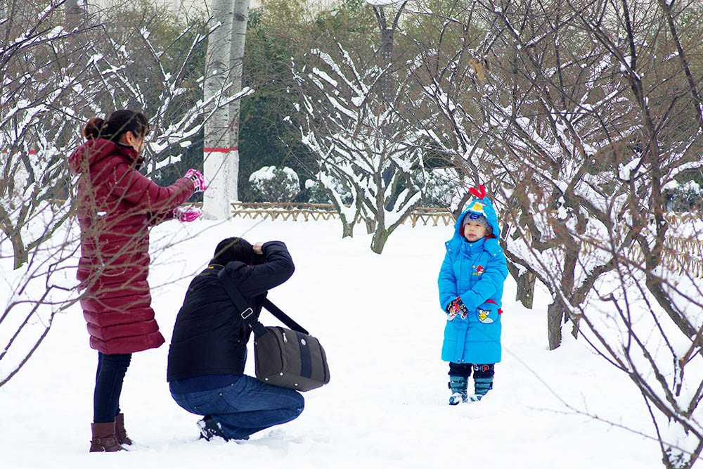 春雪————新蕾————随拍