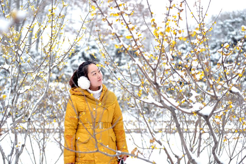踏雪寻梅人