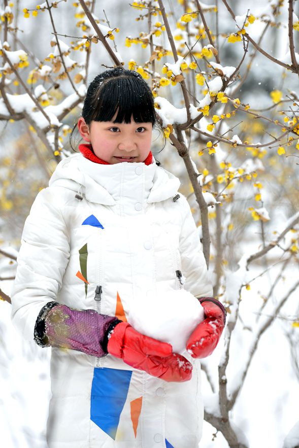 踏雪寻梅人