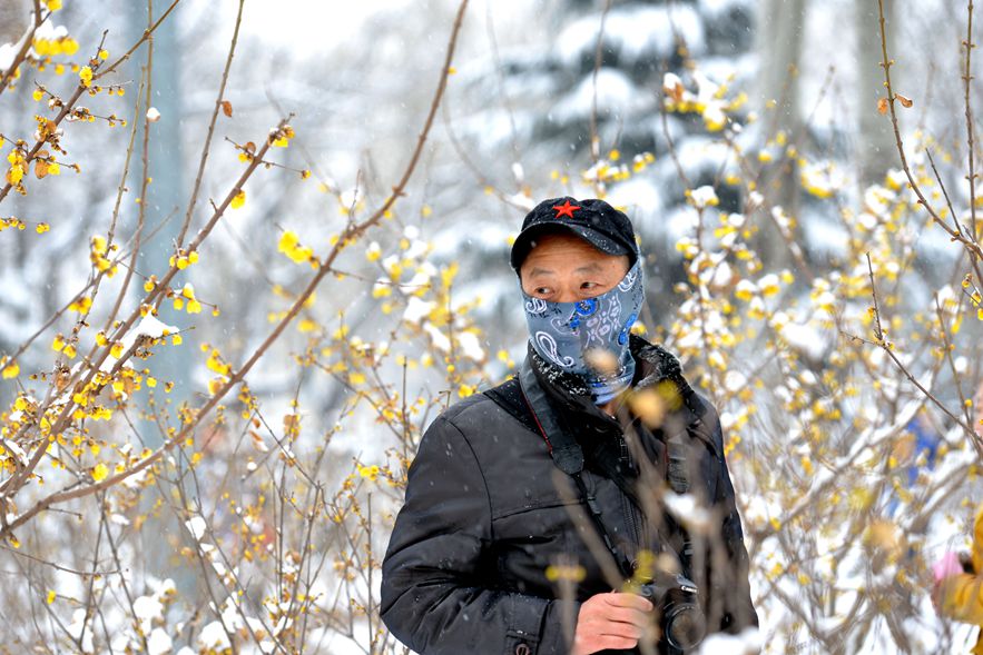 踏雪寻梅人