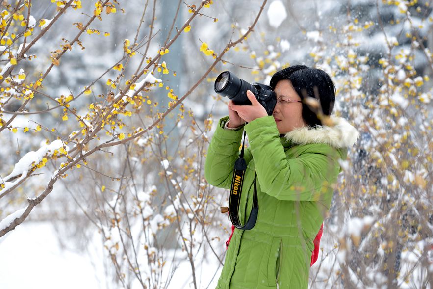 踏雪寻梅人