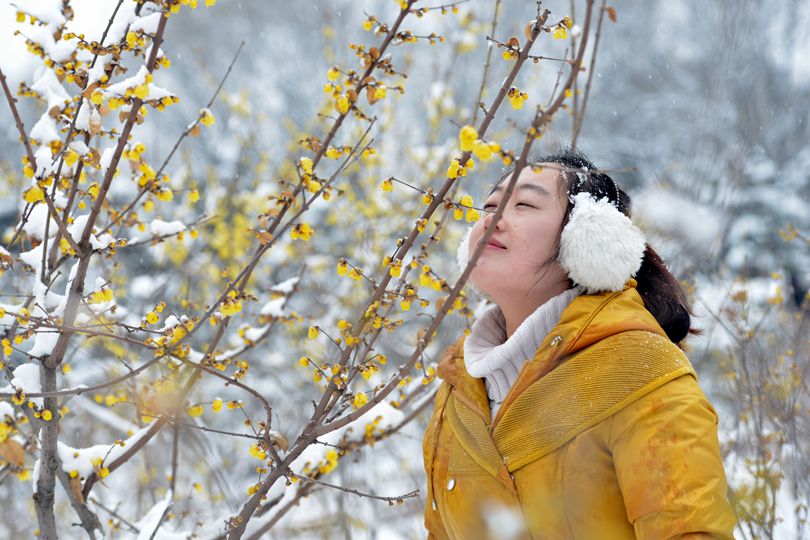 踏雪寻梅人