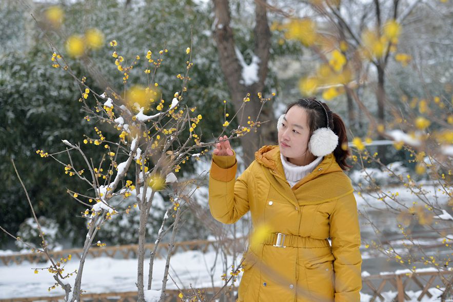 踏雪寻梅人