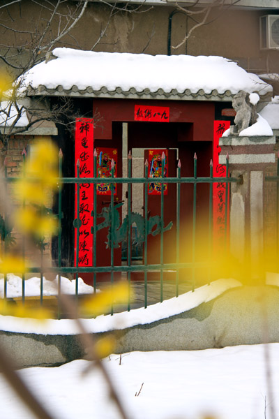 梅花迎春