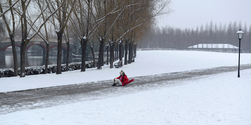 雪趣