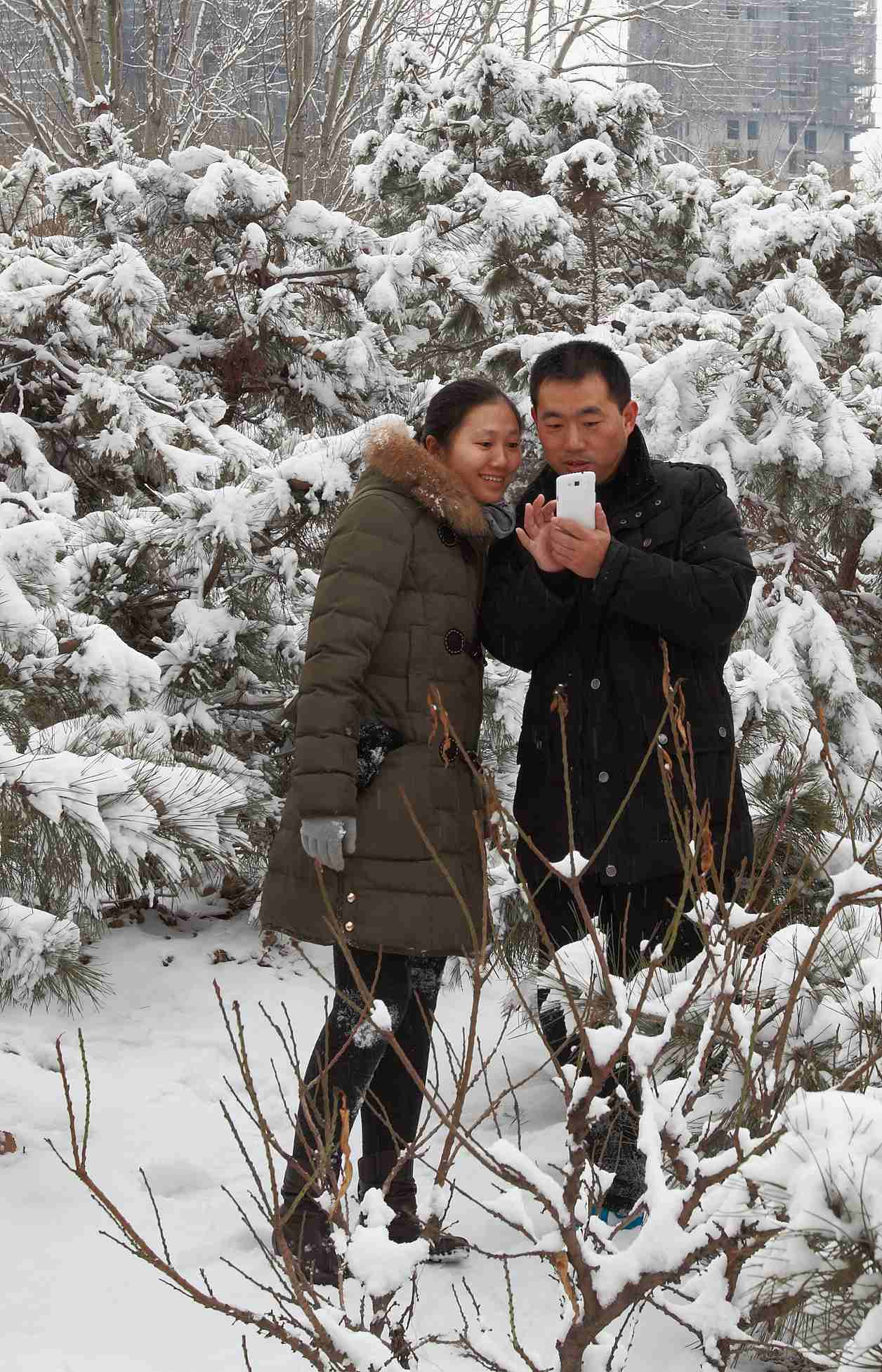 踏雪拍梅