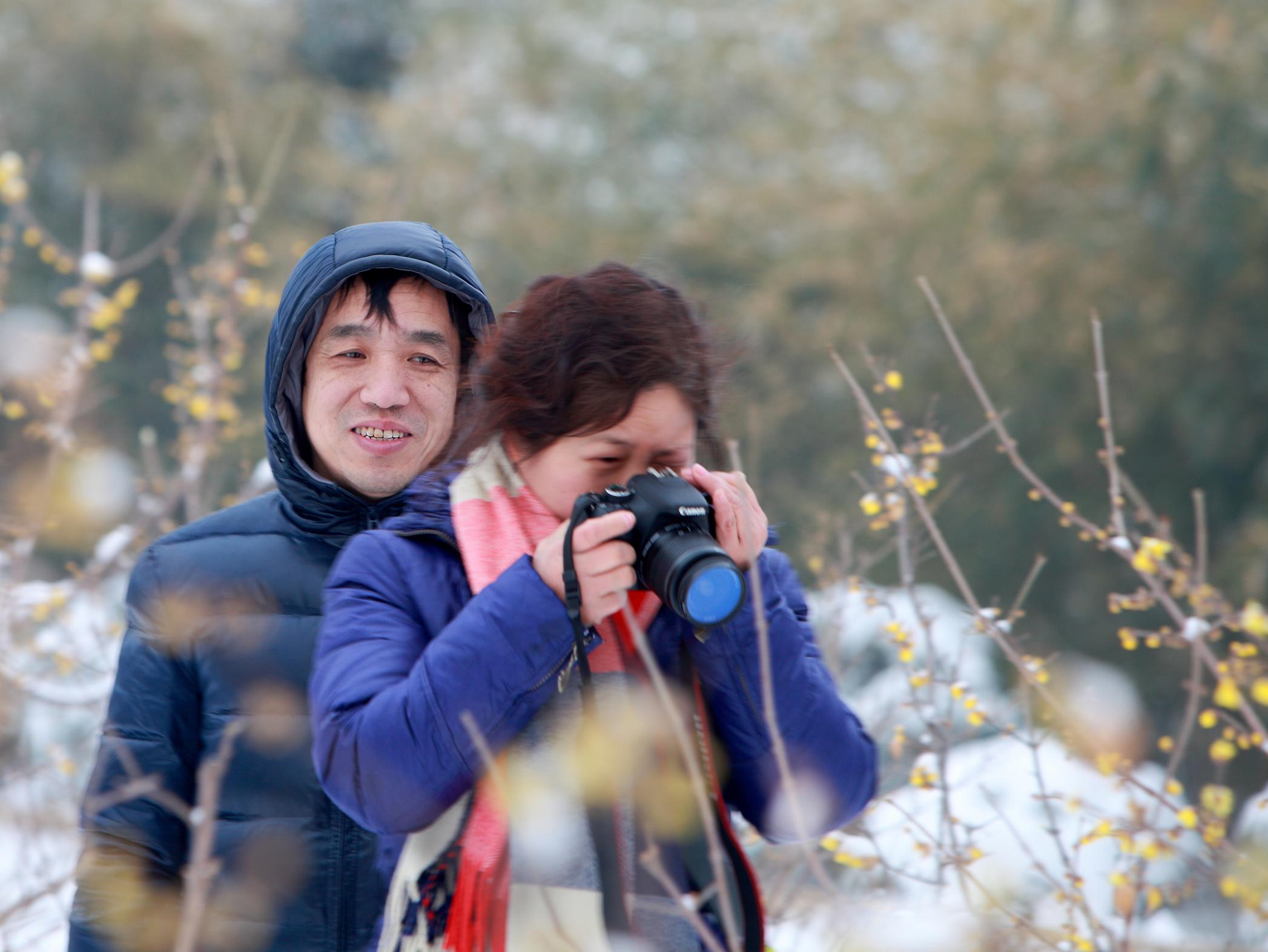 踏雪拍梅