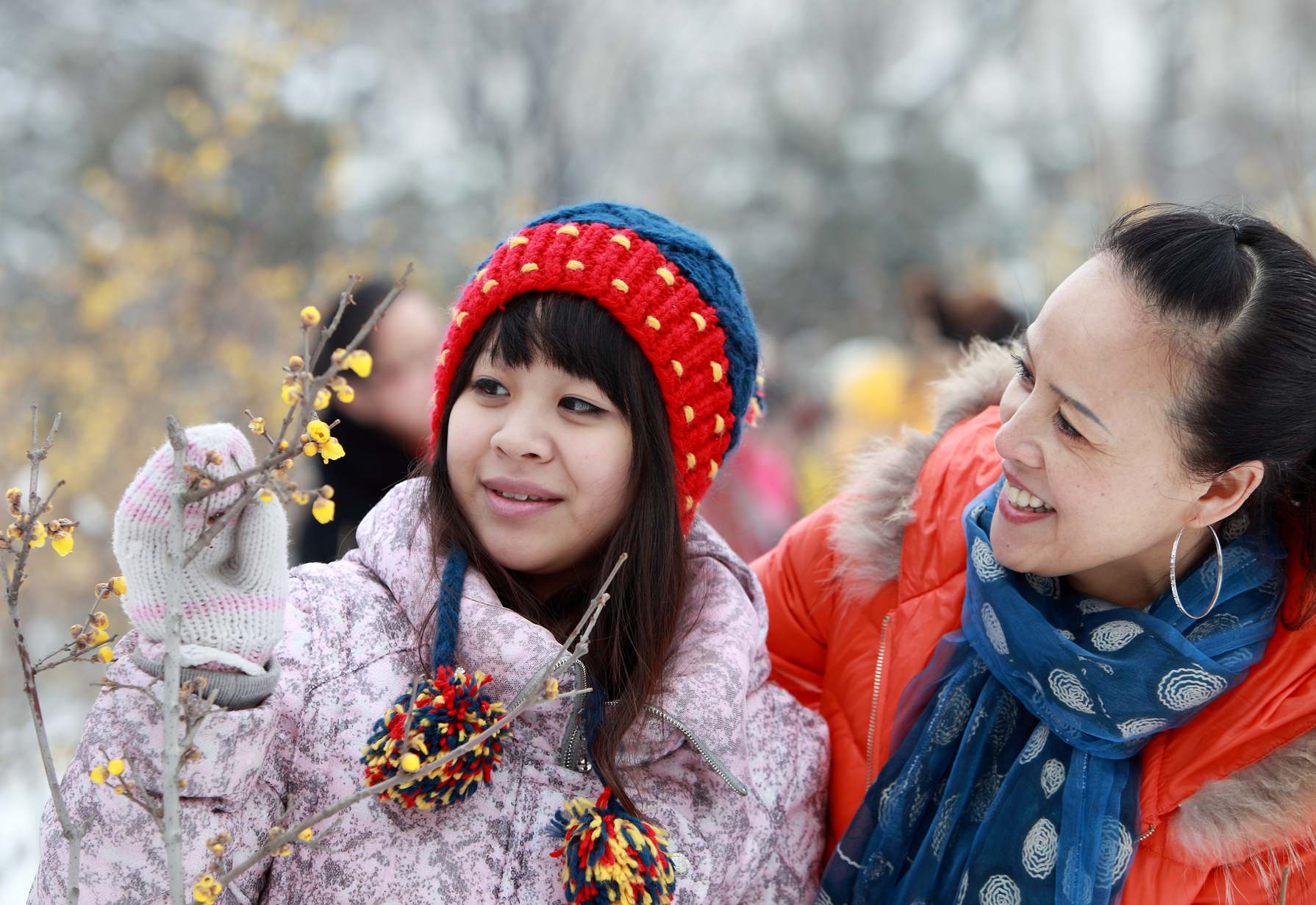 踏雪拍梅