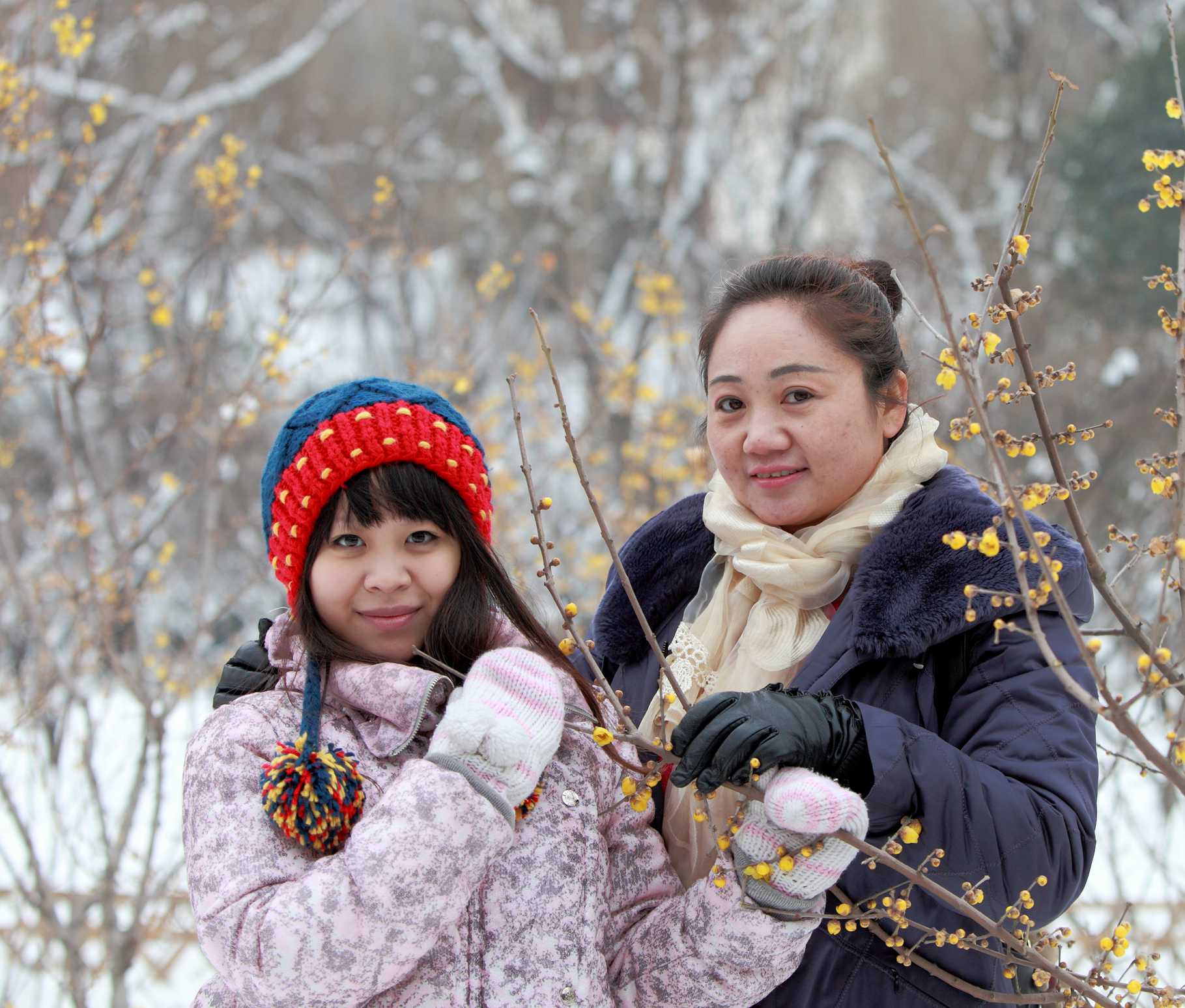 踏雪拍梅
