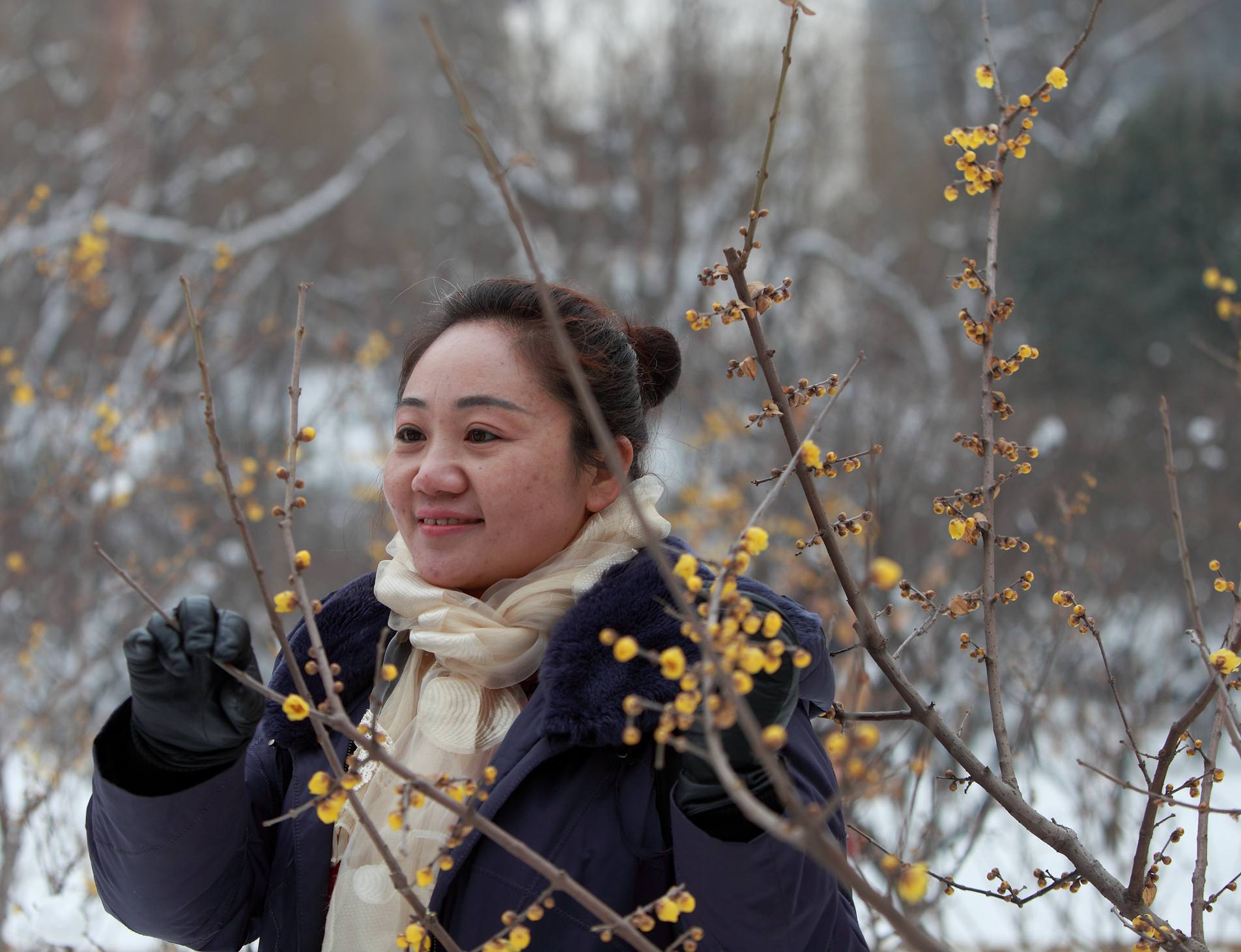 踏雪拍梅