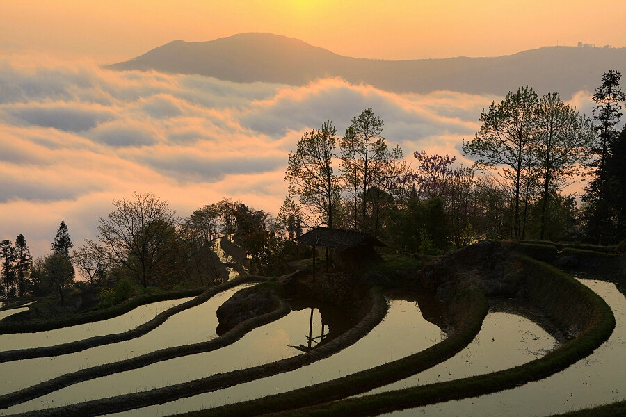 梦幻梯田
