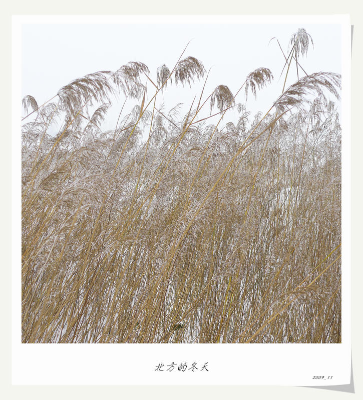 一路风光