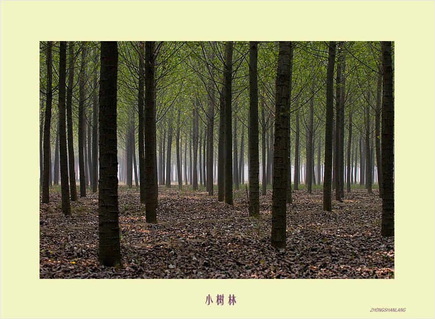 一路风光