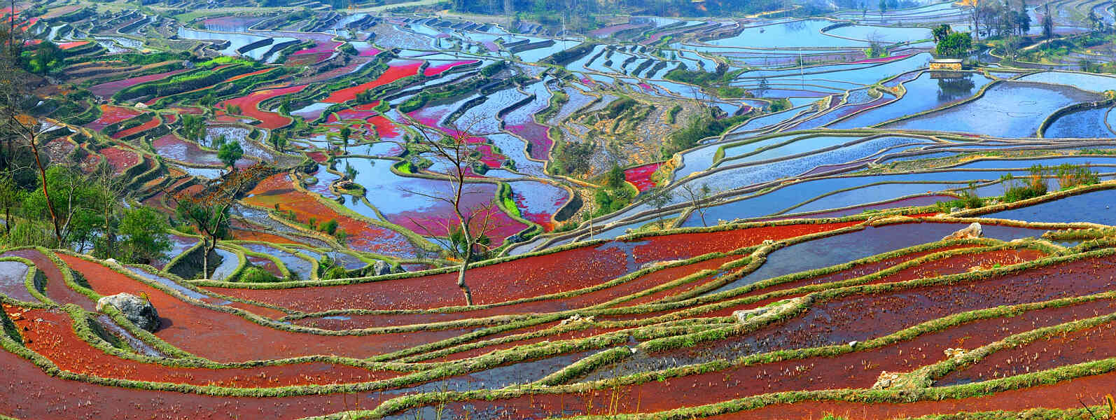 多彩梯田