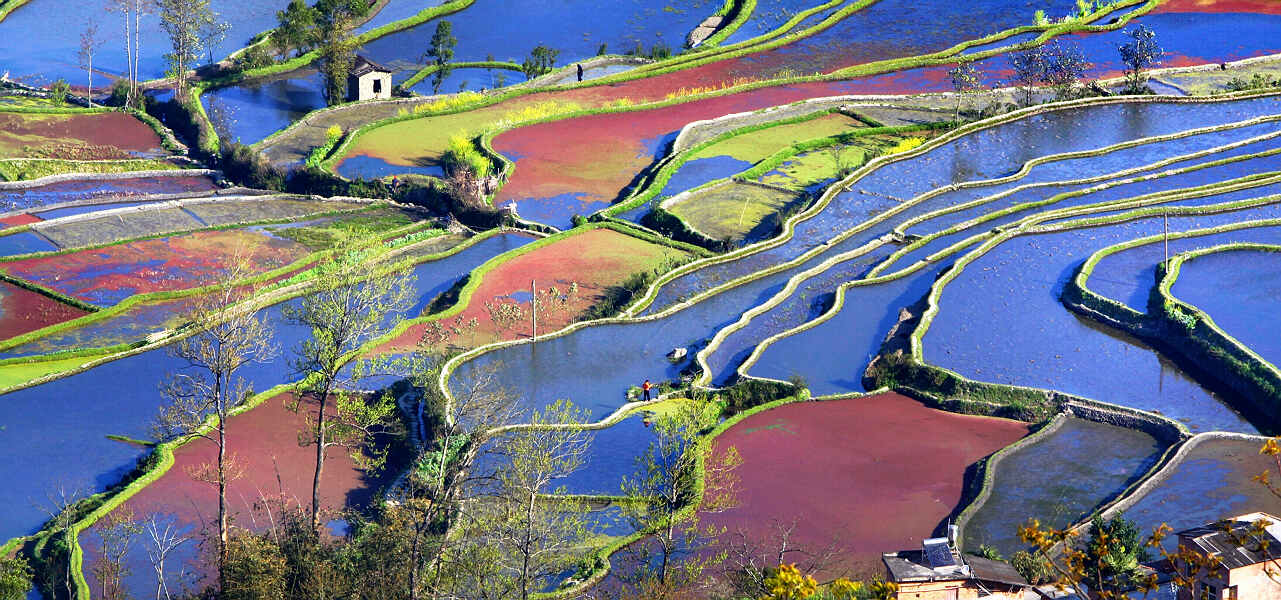 多彩梯田