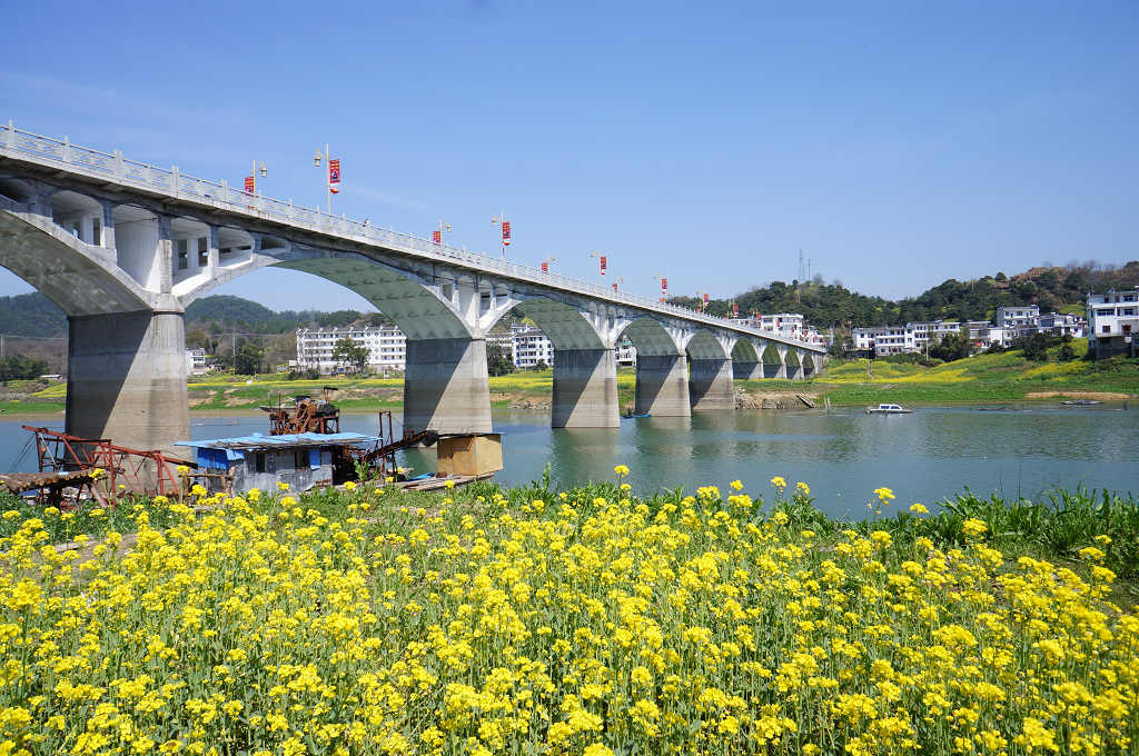 新安 画廊