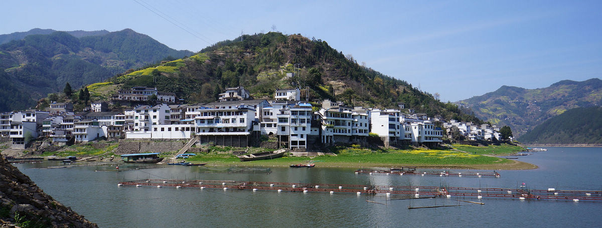 新安 画廊