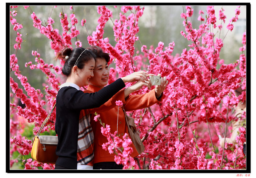 鲜花映美女