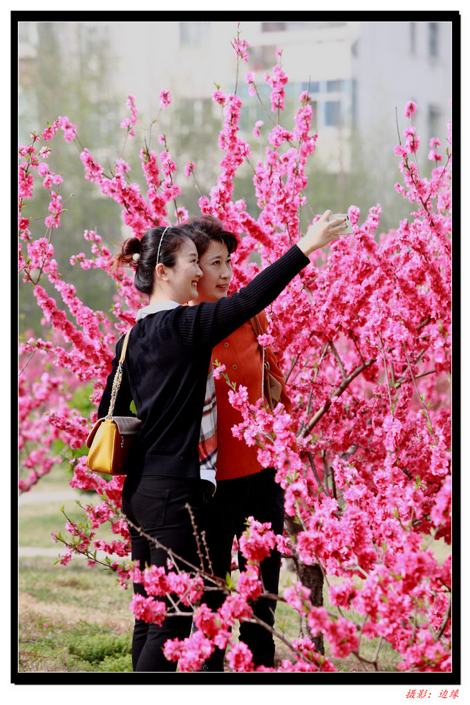 鲜花映美女