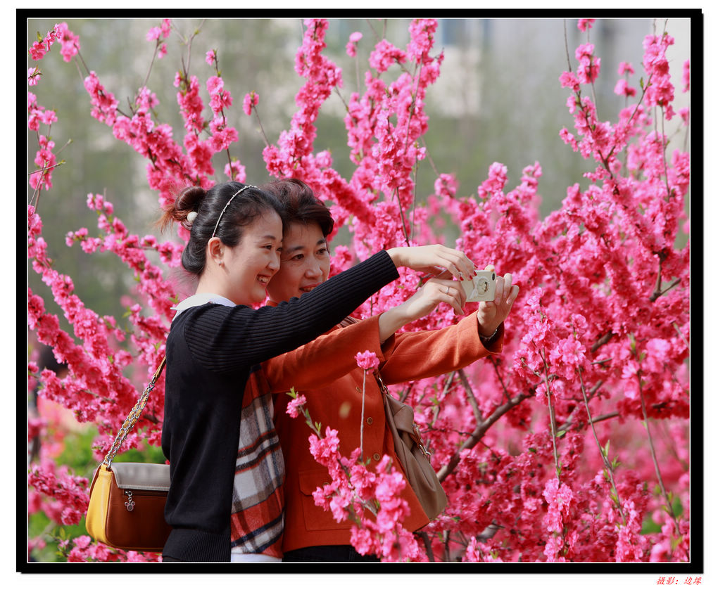 鲜花映美女