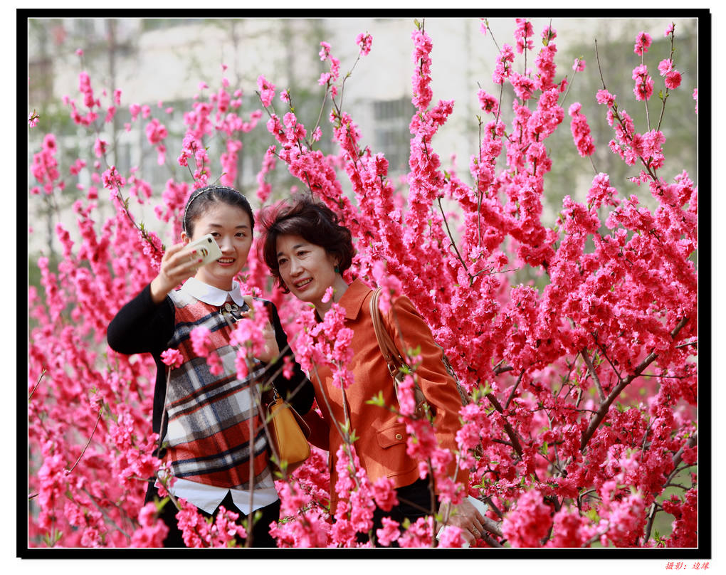鲜花映美女