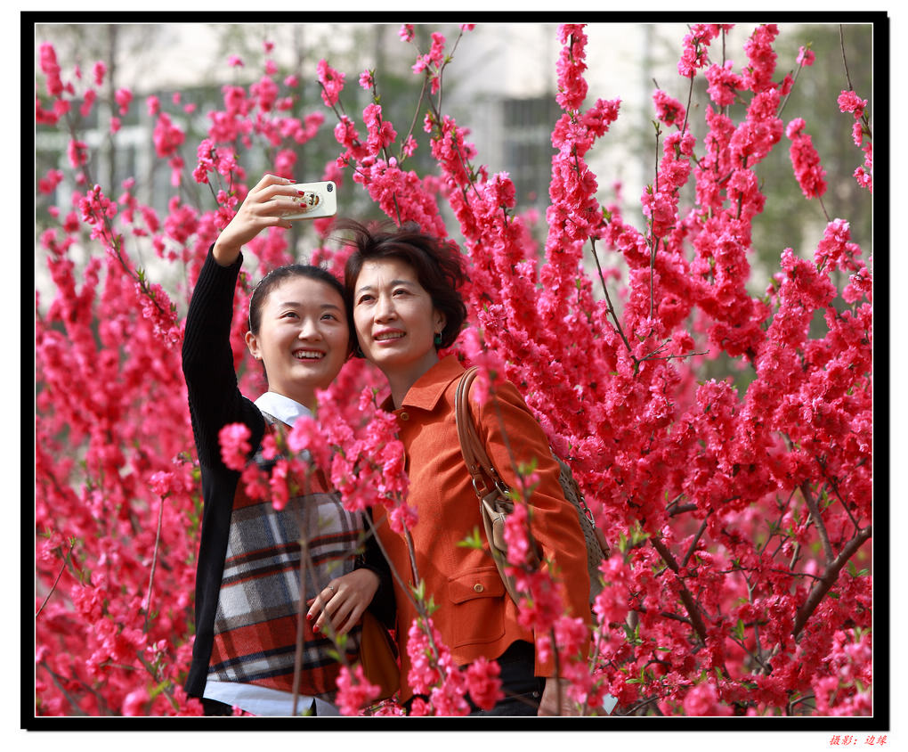 鲜花映美女