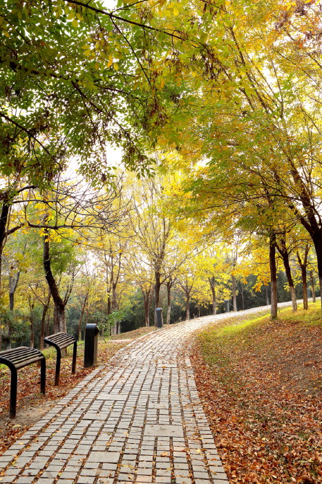 北京奥林匹克森林公园