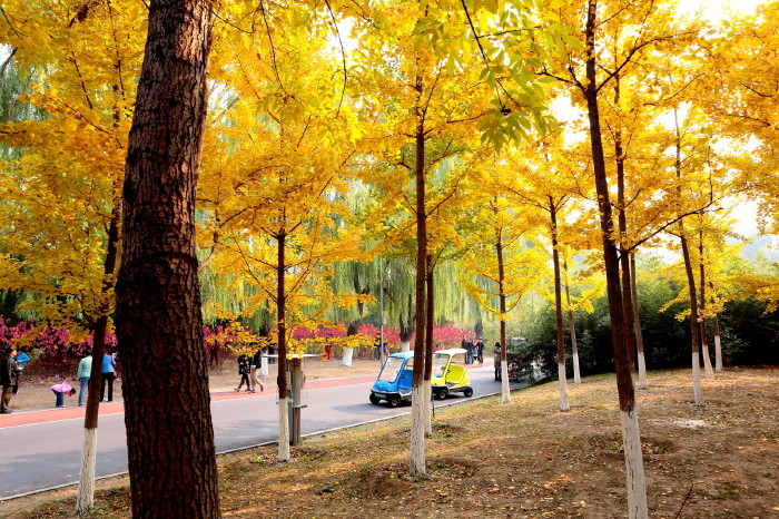 北京奥林匹克森林公园