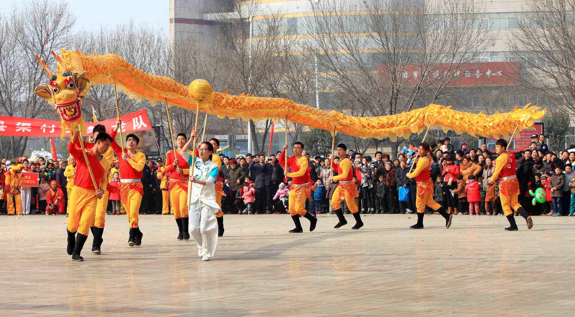 龙乡的龙舞起来（1）