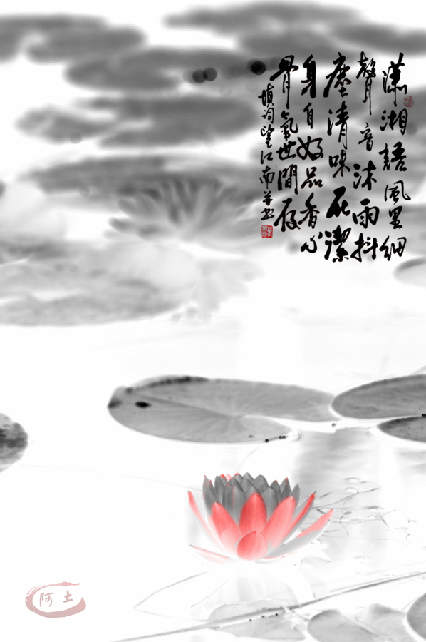 初学ps小品《莲趣》