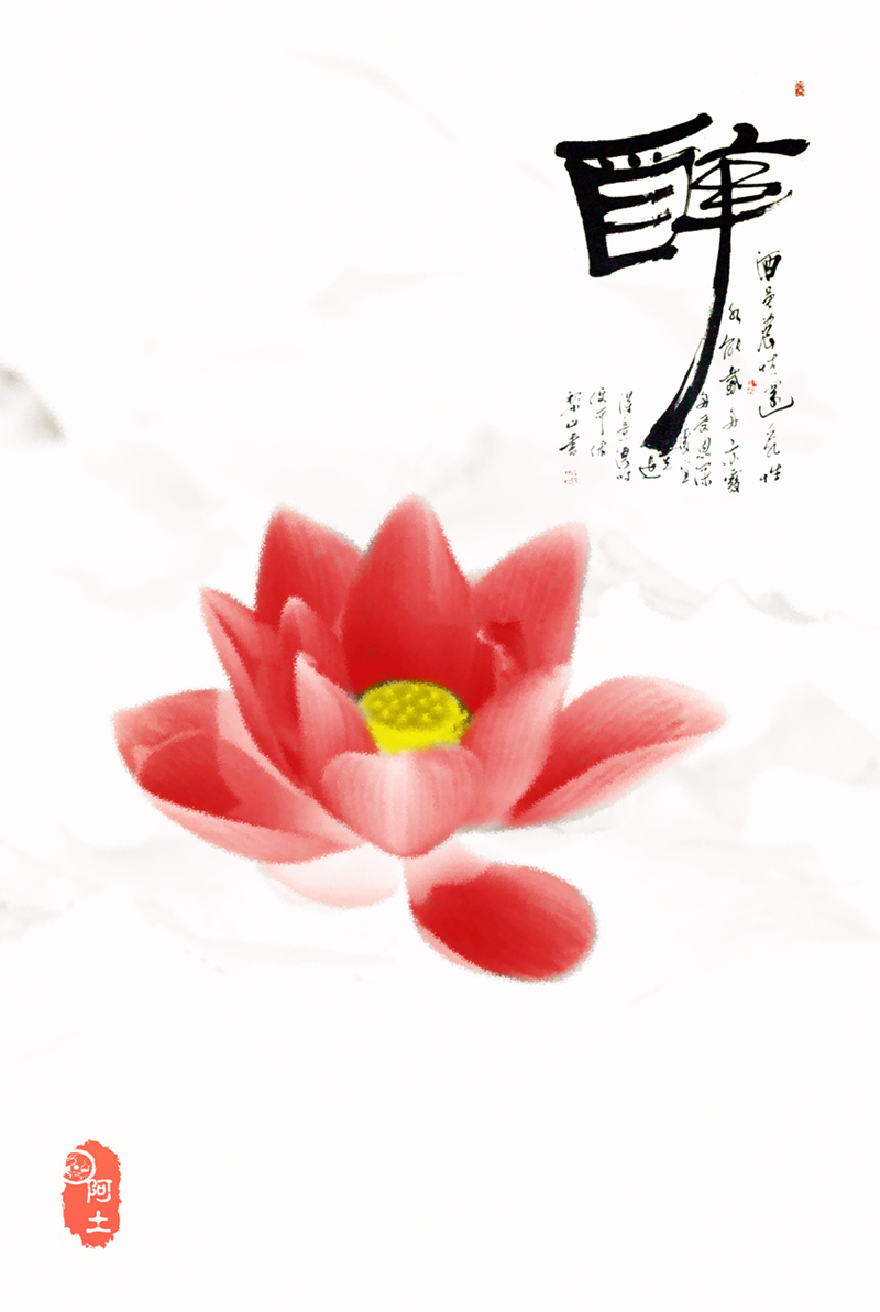 初学ps小品《莲趣》