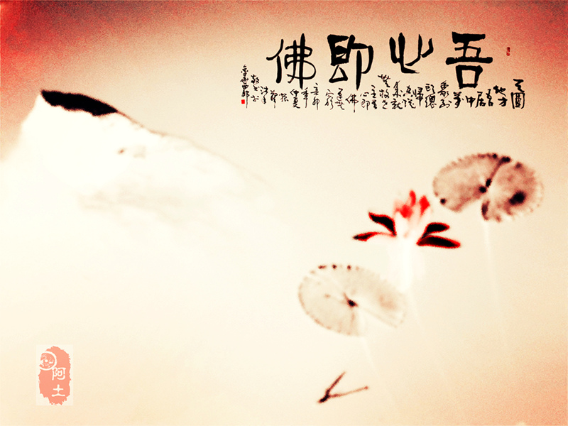 初学ps小品《莲趣》