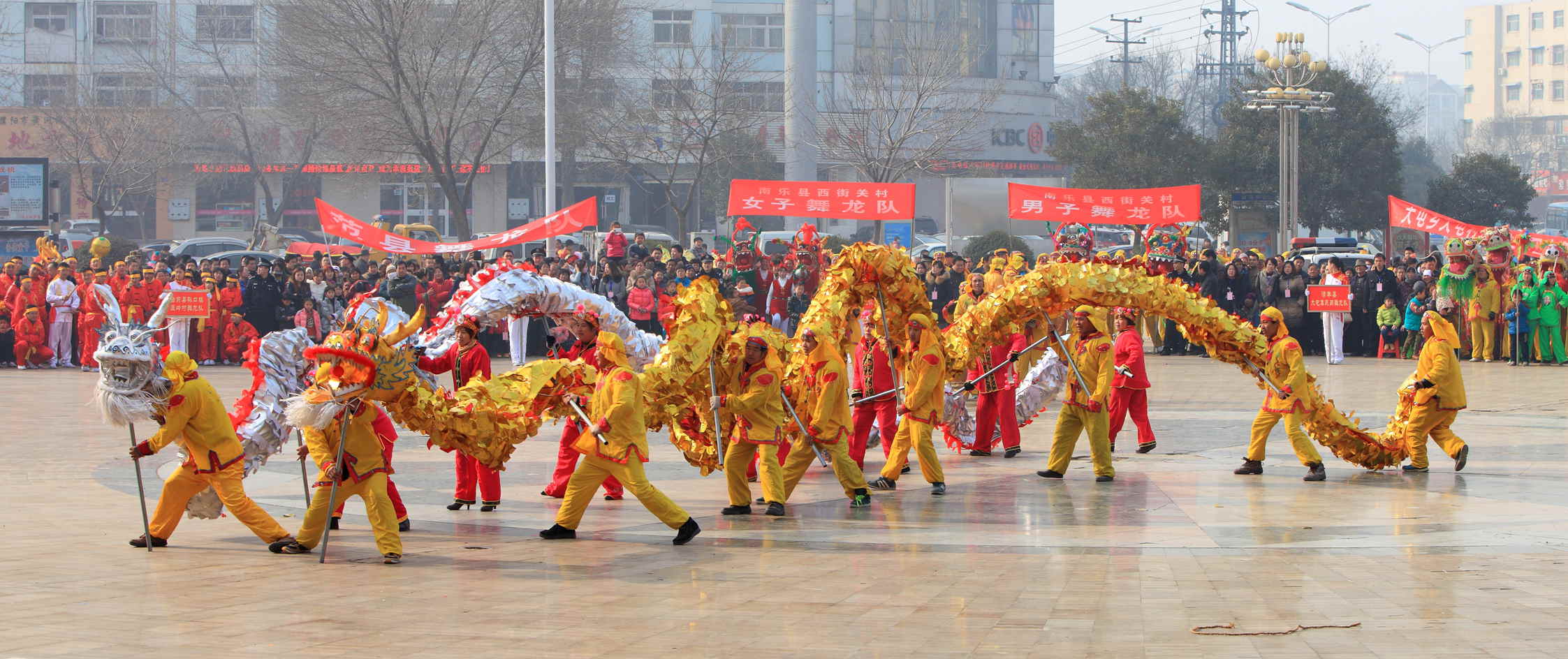 龙乡的龙舞起来（2）