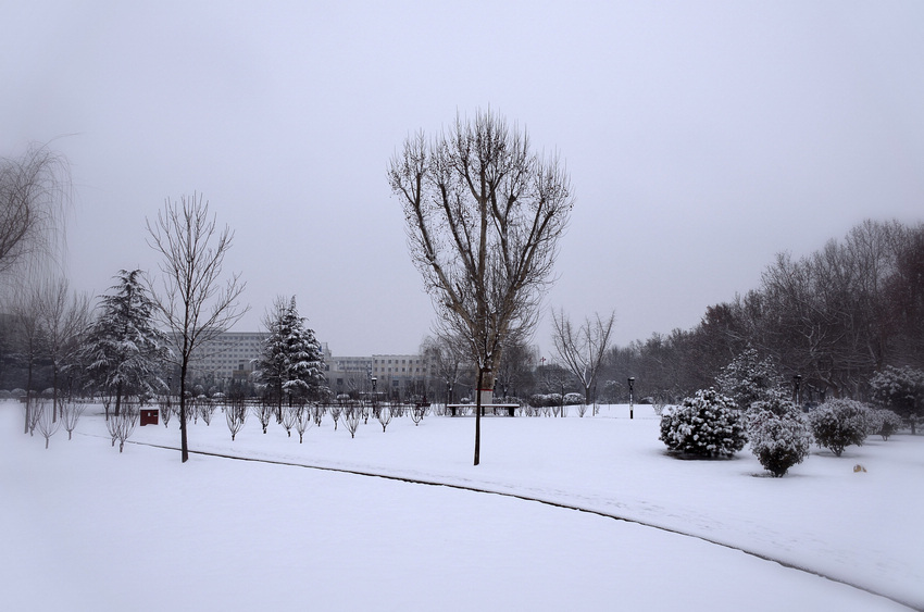 雪. 2014