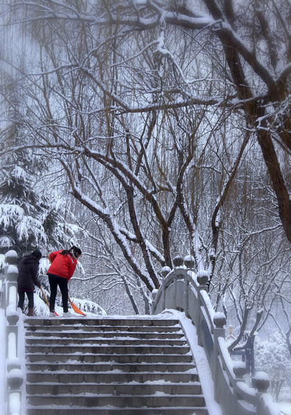 雪. 2014