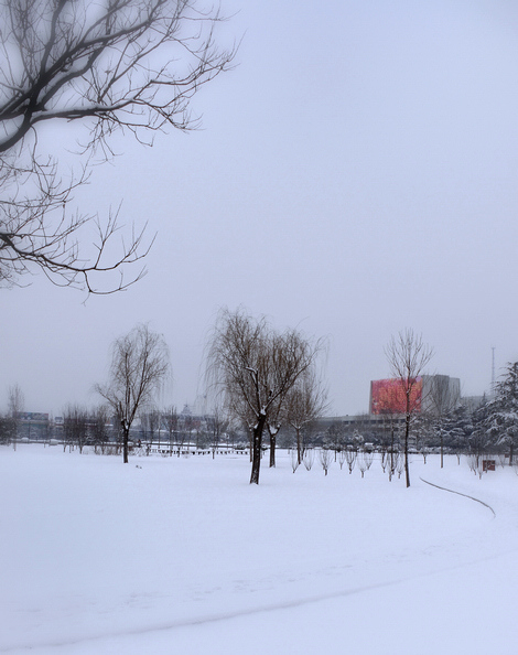 雪. 2014