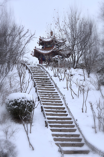 雪. 2014