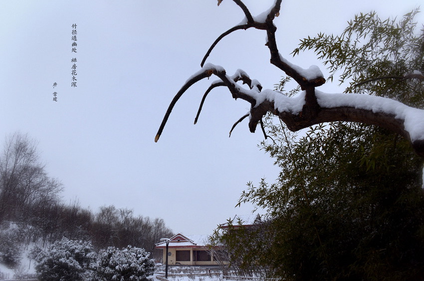 雪. 2014