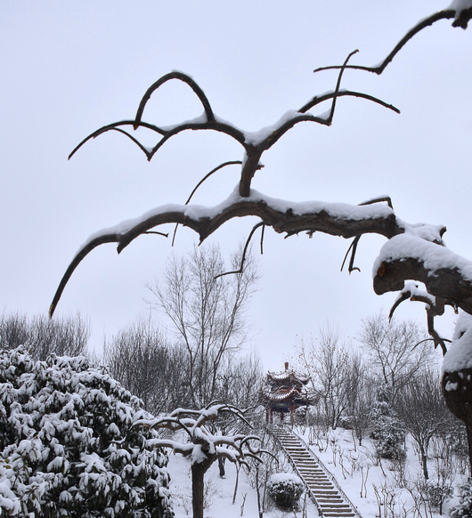 雪. 2014