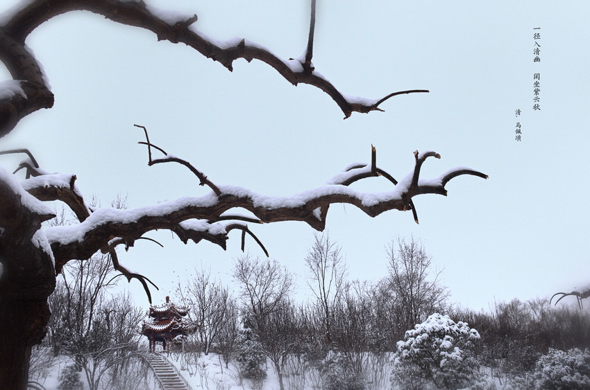 雪. 2014