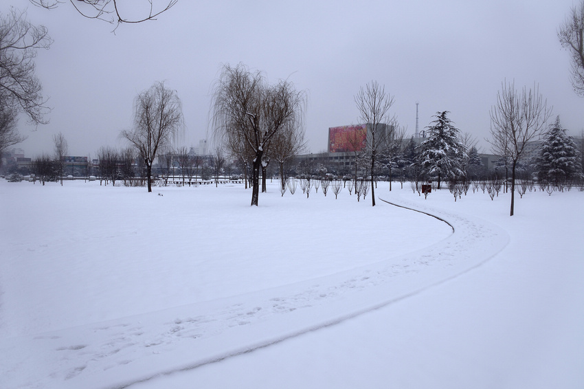 雪. 2014