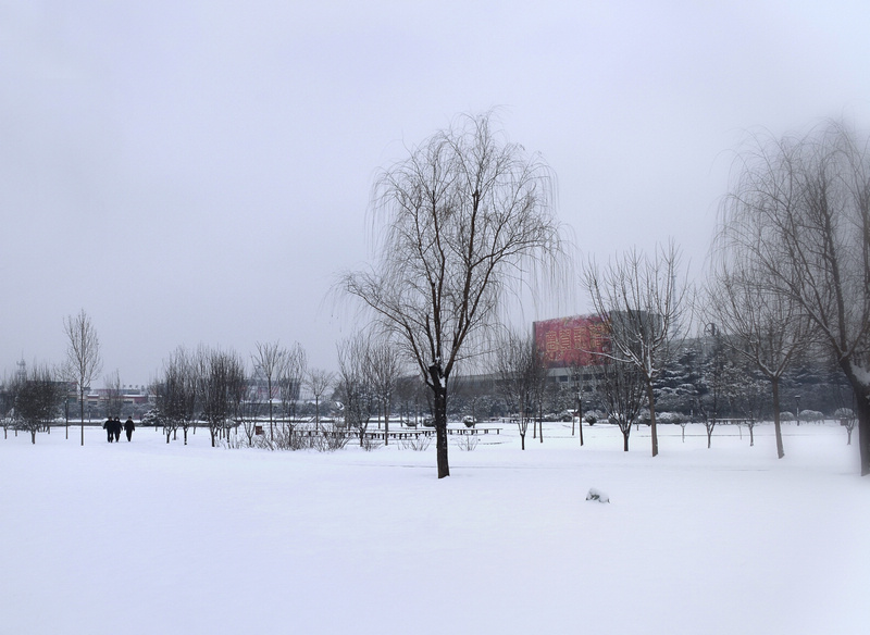 雪. 2014