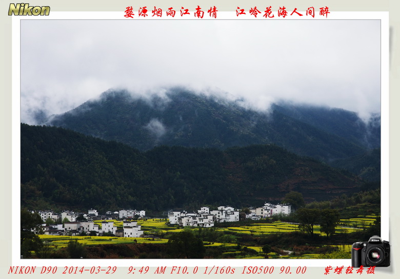 人间天上——婺源江岭花海