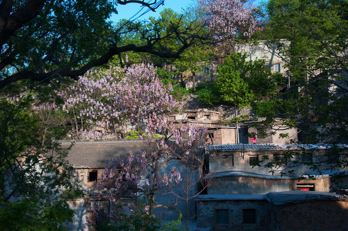 碧水青山——焦作云台山峰林峡