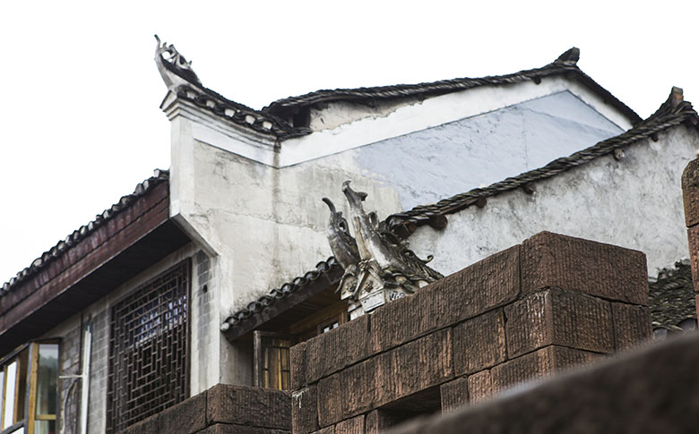 魅力凤凰