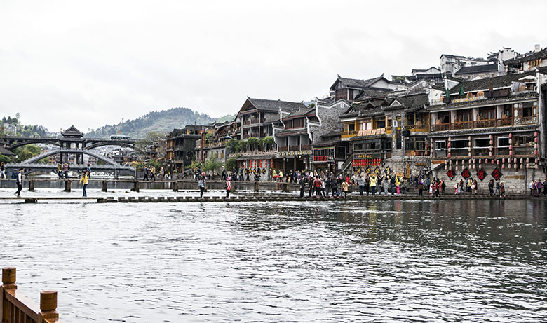 魅力凤凰