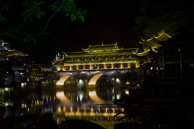 魅力凤凰